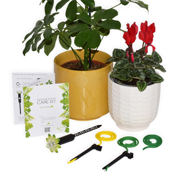 Indoor Plant Care Kit